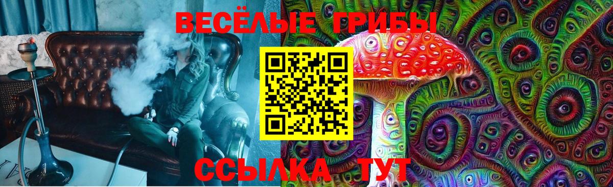 дарнет шоп  Вход с VPN  Арсеньев  Галлюциногенные грибы прущие грибы  Галлюциногенные грибы Psilocybine cubensis 